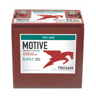 Motive T875-AGM Batteries